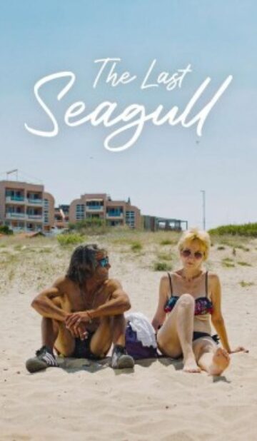 The Last Seagull