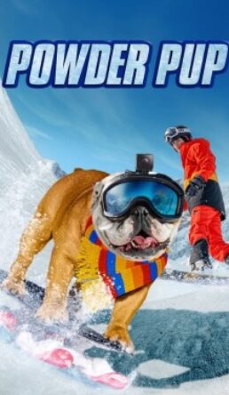 Powder Pup