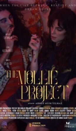 The Mollie Project